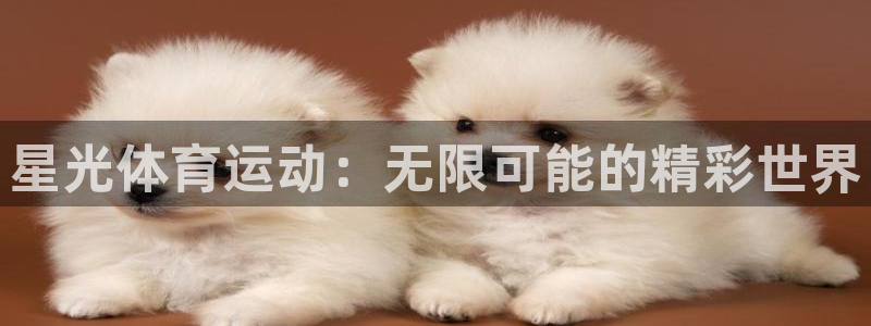 182体育平台登录入口：星光体育运动：无限可能的精彩世界