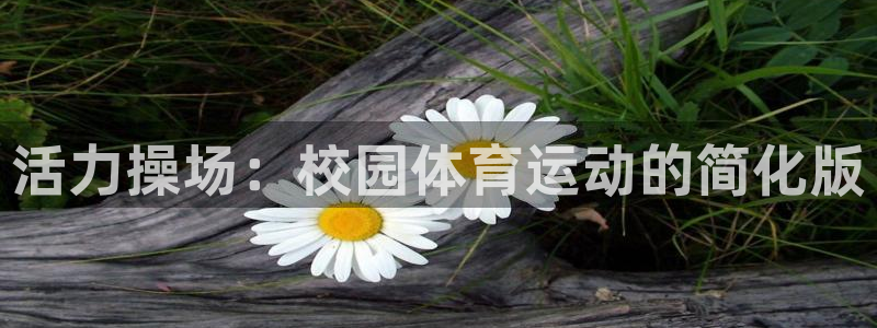 182体育正规吗：活力操场：校园体育运动的简化版