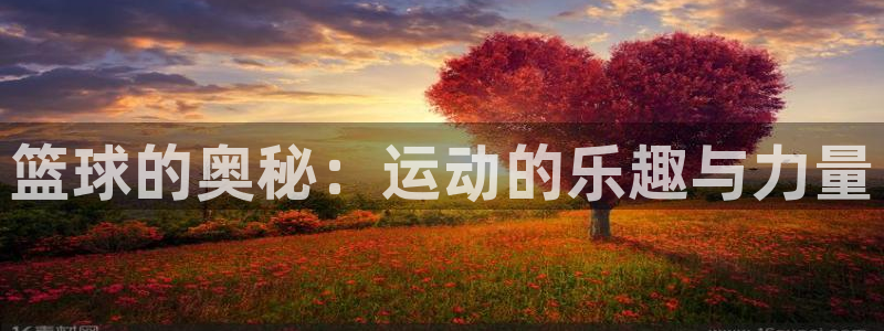 182体育官网能下载吗：篮球的奥秘：运动的乐趣与力量
