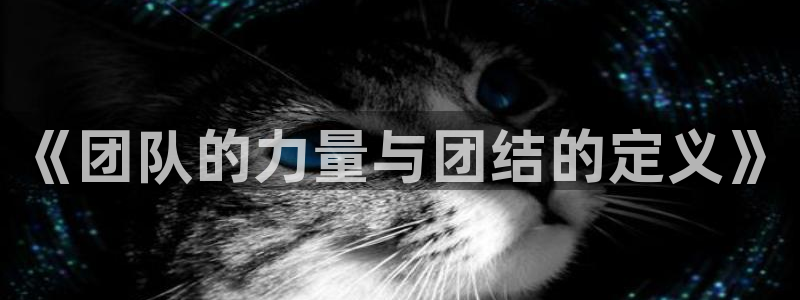 182体育什么：《团队的力量与团结的定义》